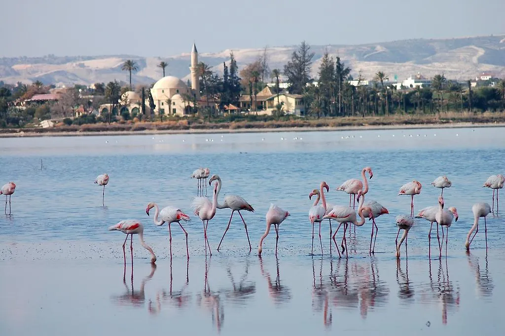 Mariandry Boutique Apartments Larnaca